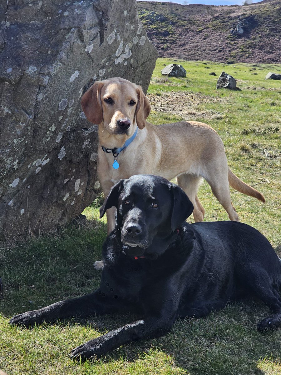 🏴󠁧󠁢󠁷󠁬󠁳󠁿 JONESY BOI GOLF ⛳️ tweet media