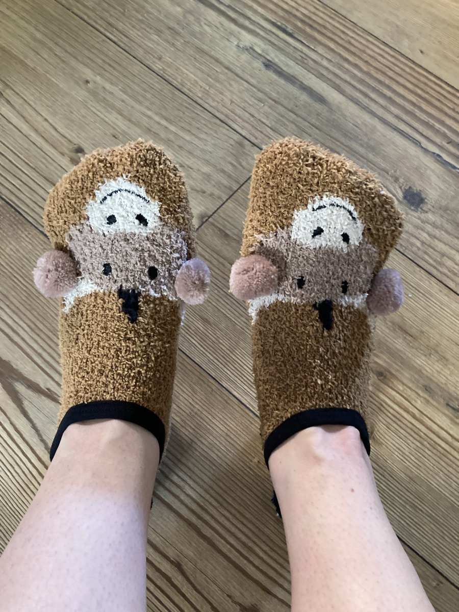 TurnipsLady's tweet photo. Popped into Yorkshire Trading Co for some garden canes and left with some highland cow slipper socks. Got the canes too 😀 https://t.co/rY6nkCHI1R
