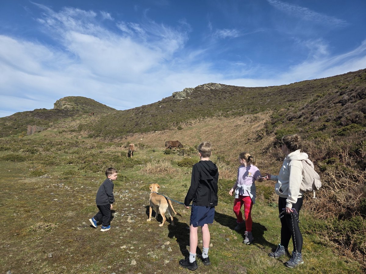 🏴󠁧󠁢󠁷󠁬󠁳󠁿 JONESY BOI GOLF ⛳️ tweet media