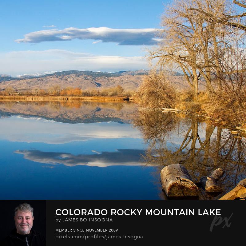 Bo Insogna - Striking Fine Art tweet media