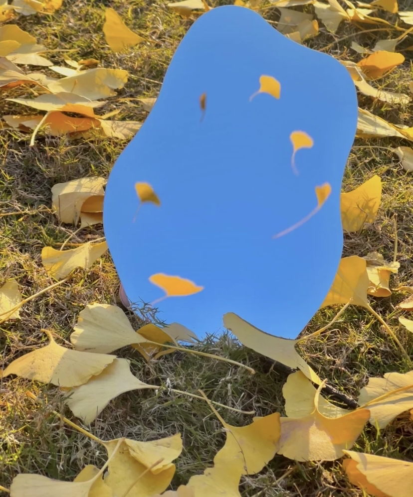 julia horne tweet media