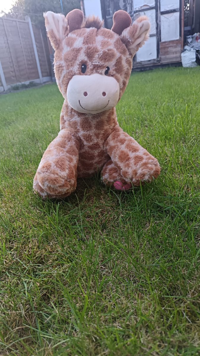 Benjamin Bus tweet media