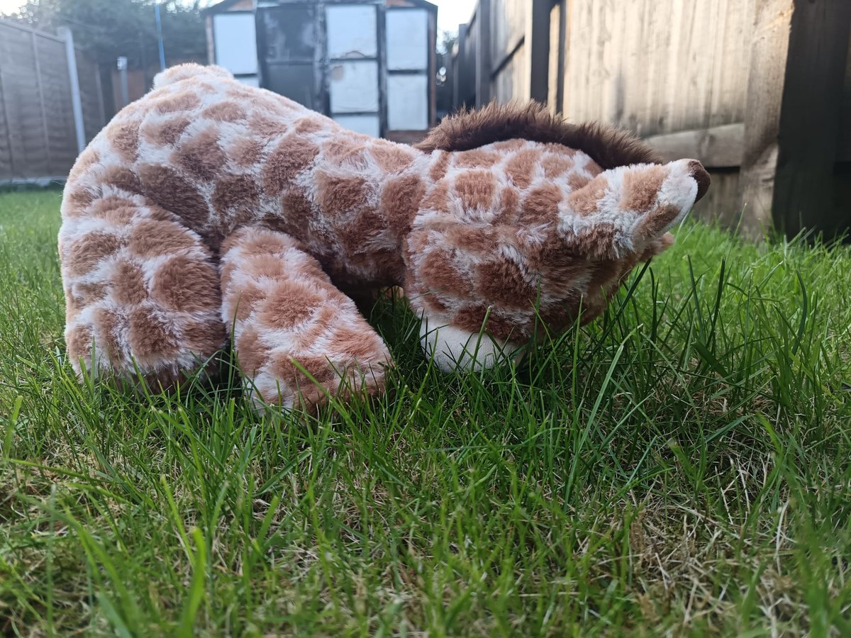 Benjamin Bus tweet media