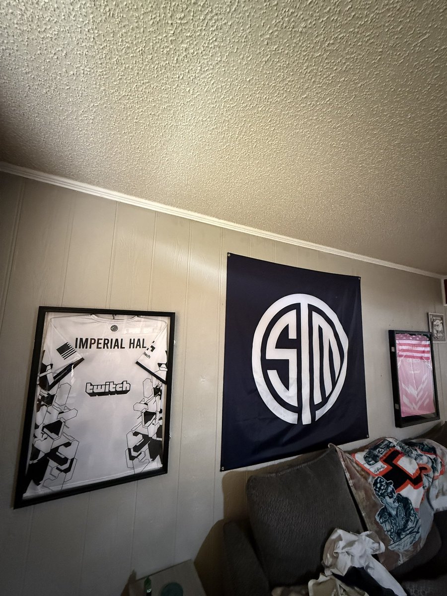 HyperLethall's tweet photo. Let it be known that I still have @ImperialHal TSM Jersey in my living room https://t.co/wEy9znd2TB