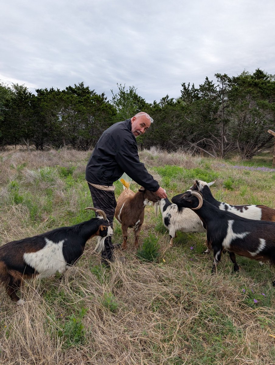 Goatpellet tweet media