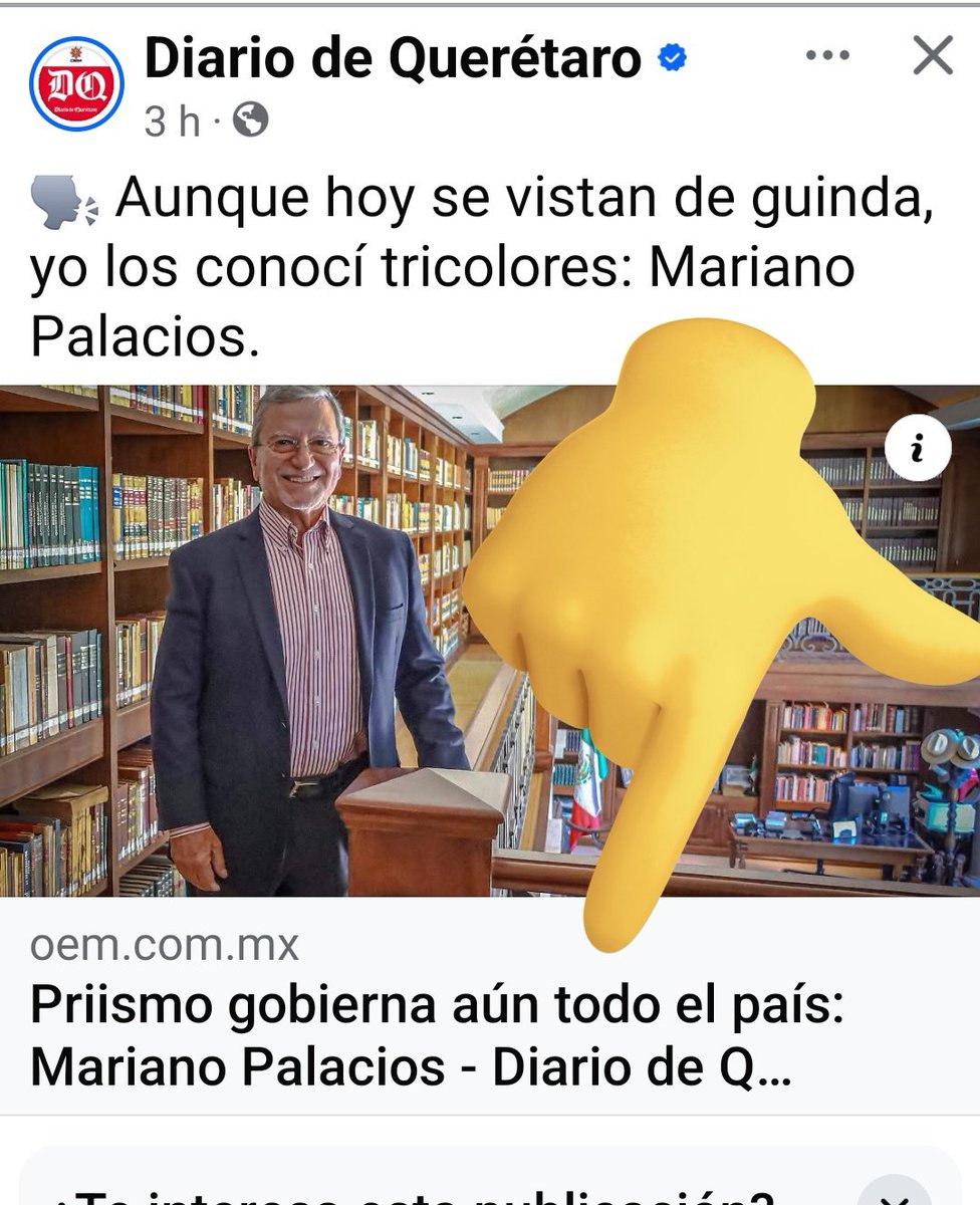 Rafaela 😏🐞 tweet media