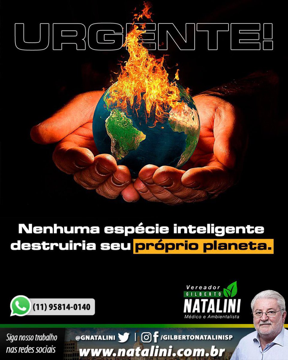 Gilberto Natalini tweet media