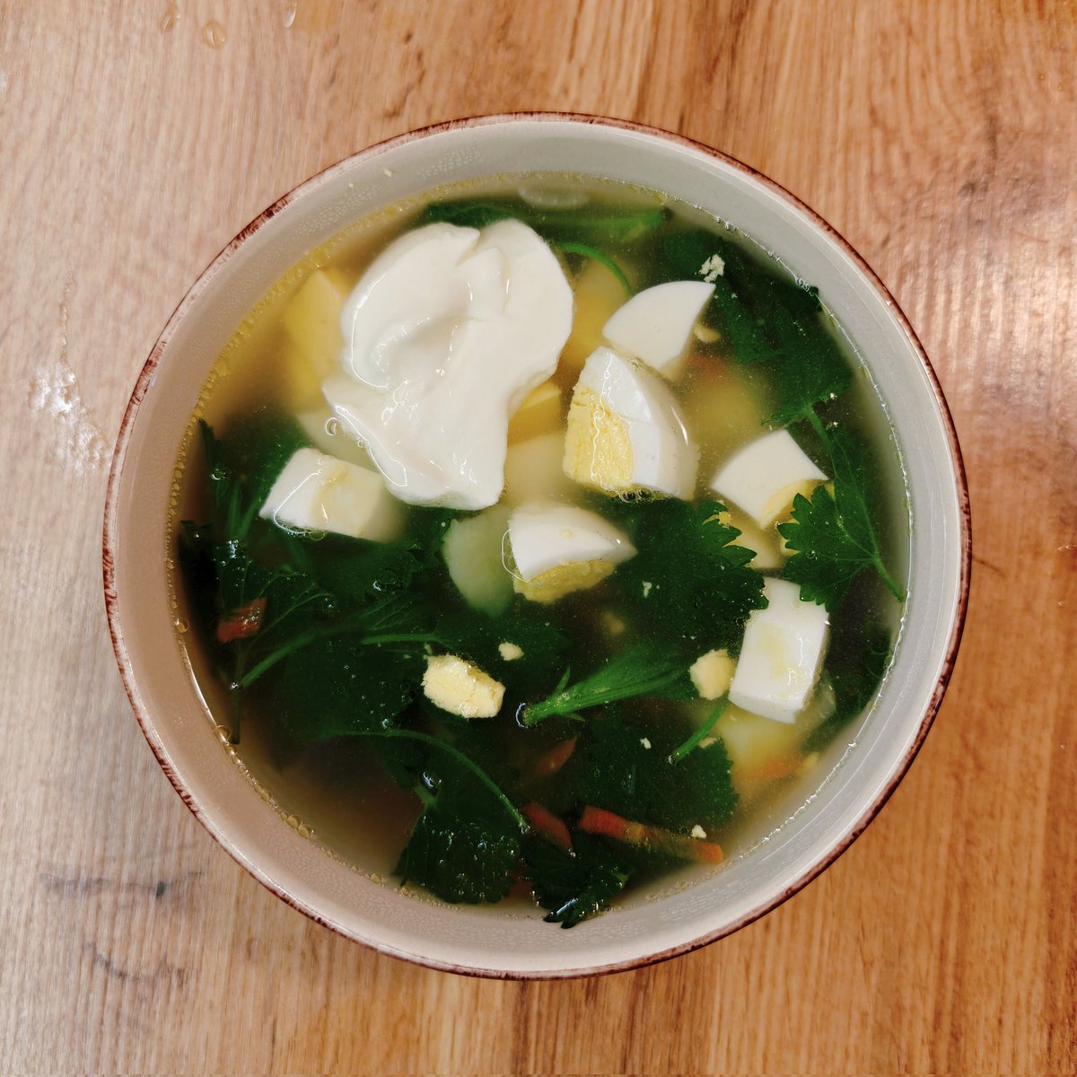 Традиційний сезонний борщ з кропивою