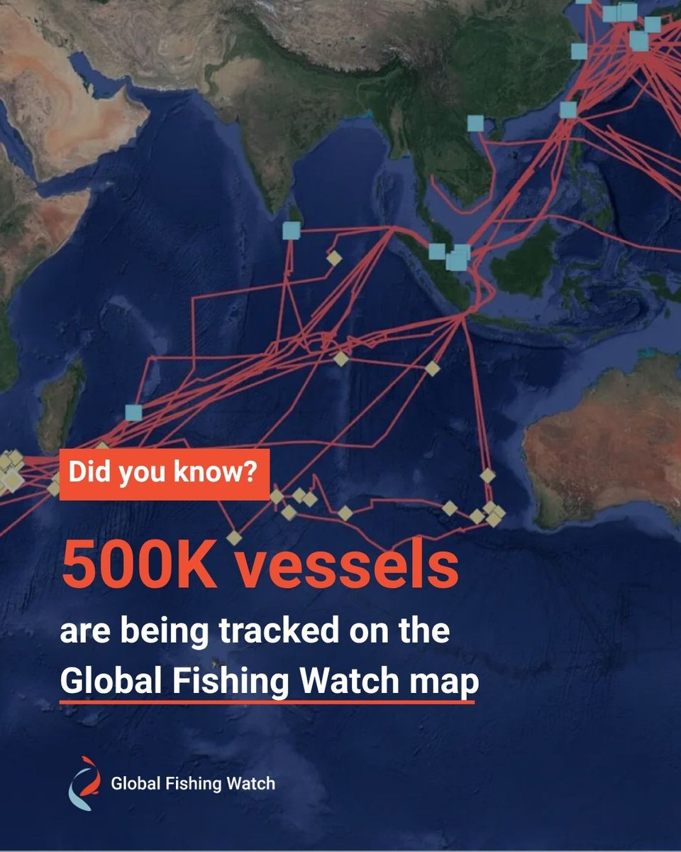 Global Fishing Watch tweet media