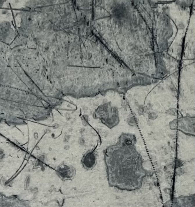 上野謙介 tweet media