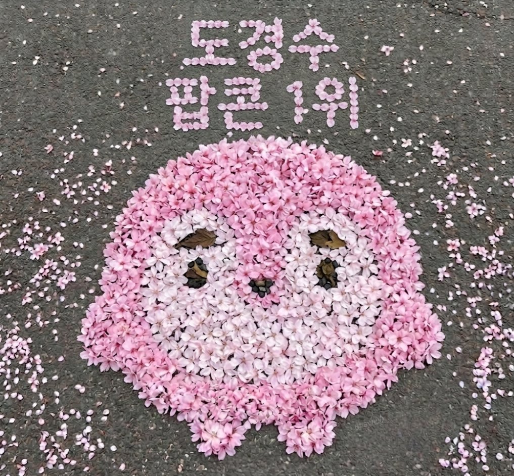 라온제나 tweet media