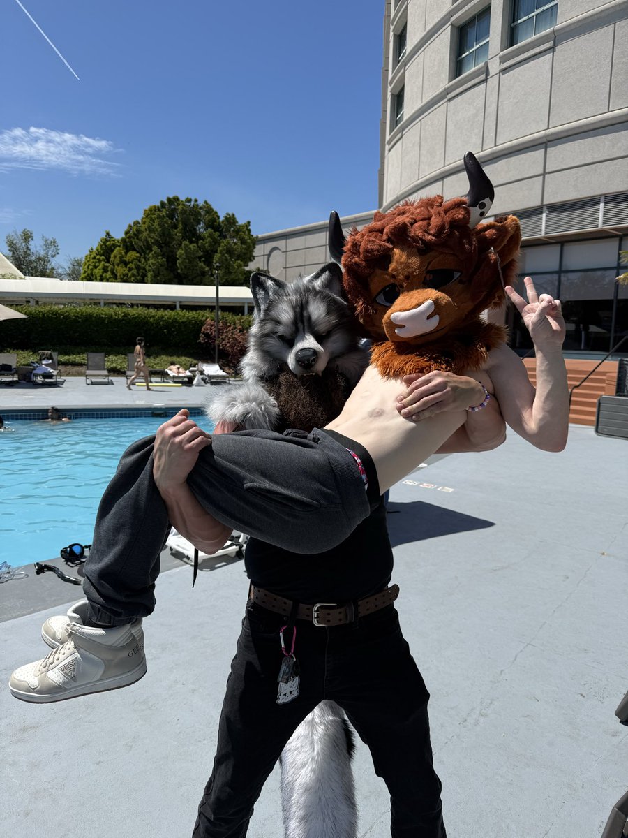 Wolfie 🔜Furlingame 🔜MegaPlex🔜PawCon🔜BLFC tweet media