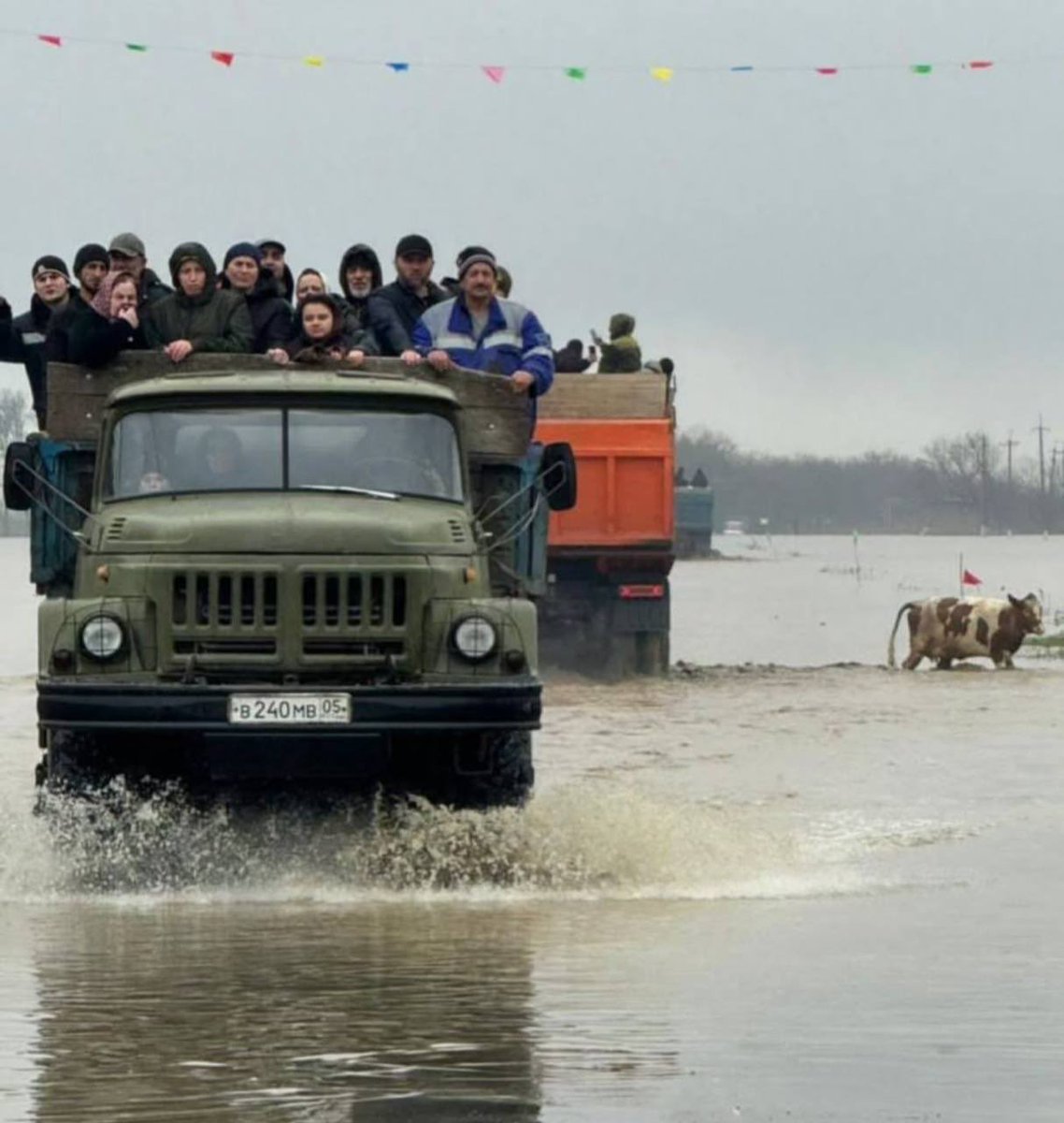 Посмотрите, как эвакуируют людей из затопленных дагестанских деревень. И посмотрите, как звери бросают животных. Стоит бедная коровка, смотрит на уродов двуногих…