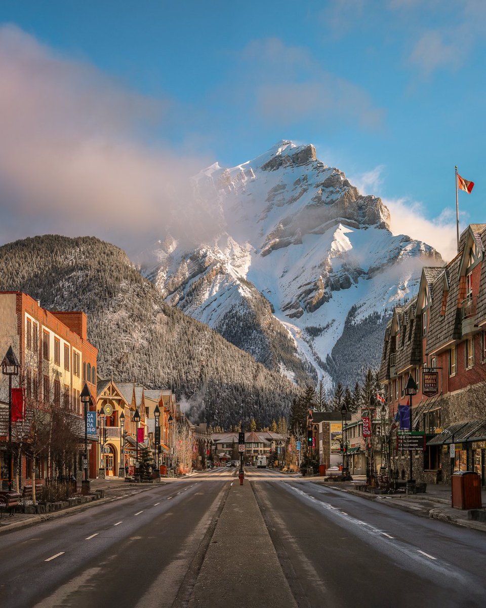 Dan the Man tweet media