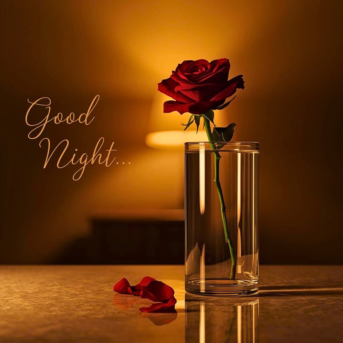 advocate_kalu's tweet photo. Sometimes, simplicity creates the most peaceful nights. ✨
#GoodNightWorld #ElegantVibes #MinimalStyle #RoseAesthetic #CalmNight #SleepWell #DreamyMood #SoftLighting #PeacefulSleep #EveningSerenity https://t.co/098ZVH2DTA