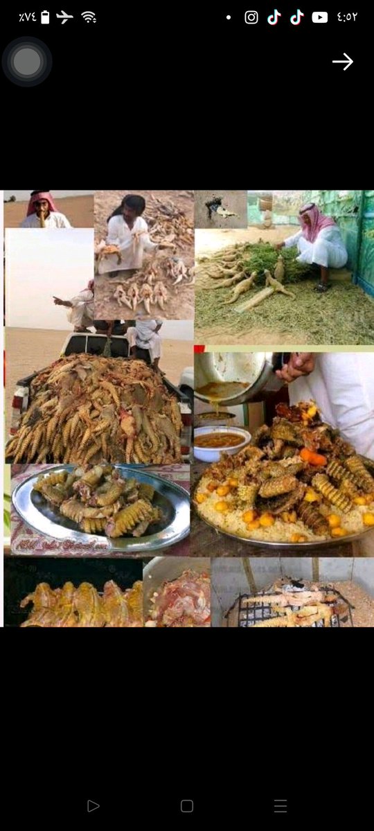 Ahmed Shwky tweet media