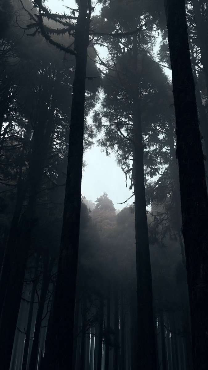 Rajdeep Ghosh tweet media