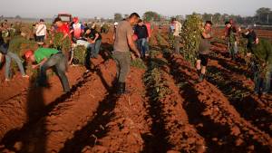 Alis Azahares tweet media