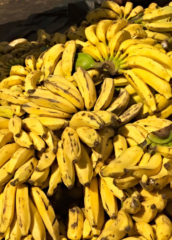 Anti Todo tweet media