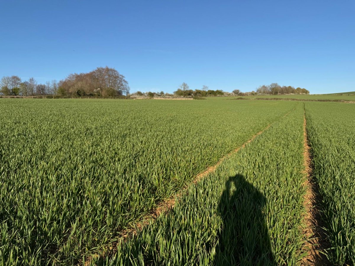 Rupert Lowe MP tweet media