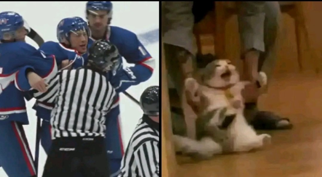 libra queen tweet media