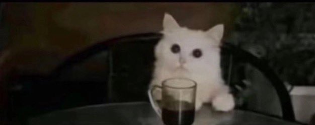 هيَـا tweet media