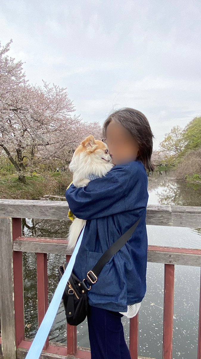 ココ・るえか tweet media