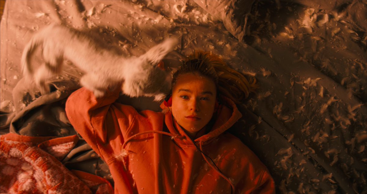 Jon Del Arroz | Pop Culture & Gaming 🎮 tweet media