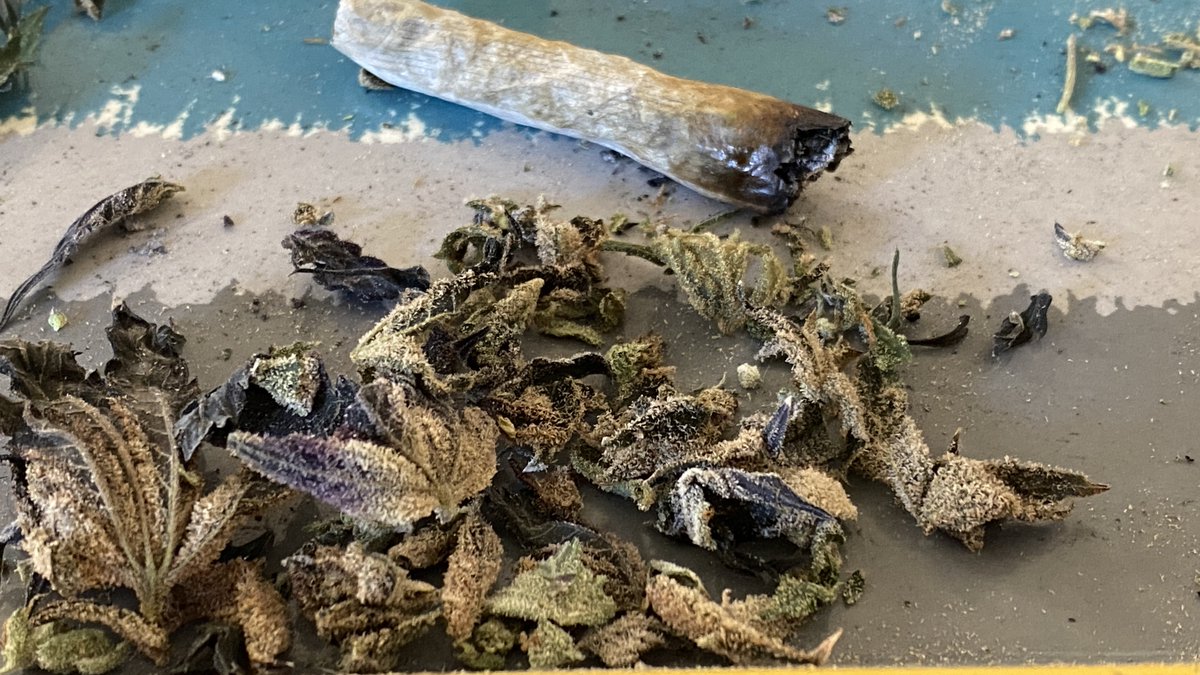 One Nation Under Informed tweet media