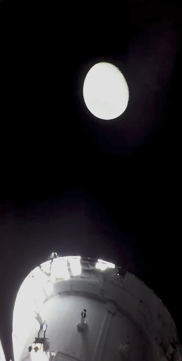 Curiosity tweet media