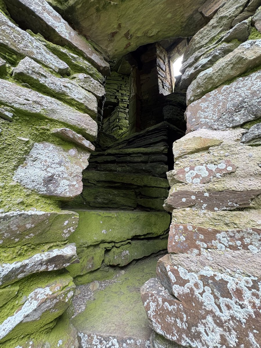 Avram Dorado tweet media