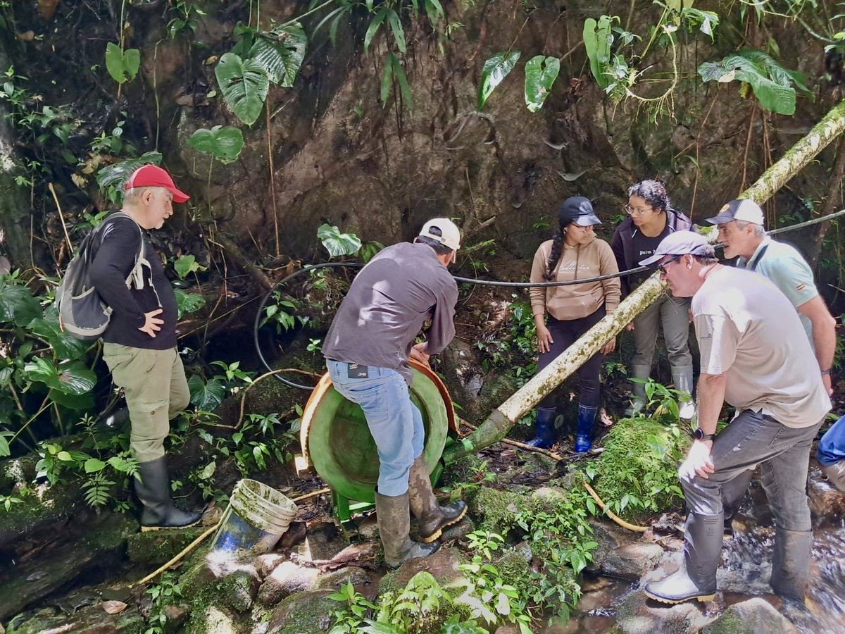 aecidecuador's tweet photo. 💧⚡ En #Intag, el río Aguagrún genera energía limpia. 27 microsoluciones, 2.000 beneficiarios, 565 t CO₂ evitadas.
Lee más en: https://t.co/ix3lxV7XUR
Financiado por #AECIDEcuador y ejecutado por Xarxa de Consum Solidari.
#SomosCooperación https://t.co/gCeCojWgBo