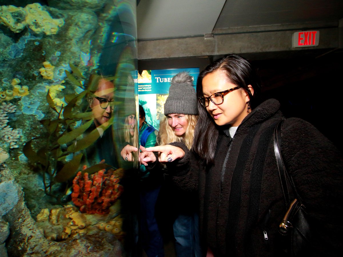 NEAQ's tweet image. #DYK memberships are tax deductible?💰 

Make next year's tax refund count! Support the Aquarium and get something back in return. Memberships are tax deductible, so you can give back to ocean conservation while enjoying a full year of benefits.

More: bit.ly/4q8U1rz