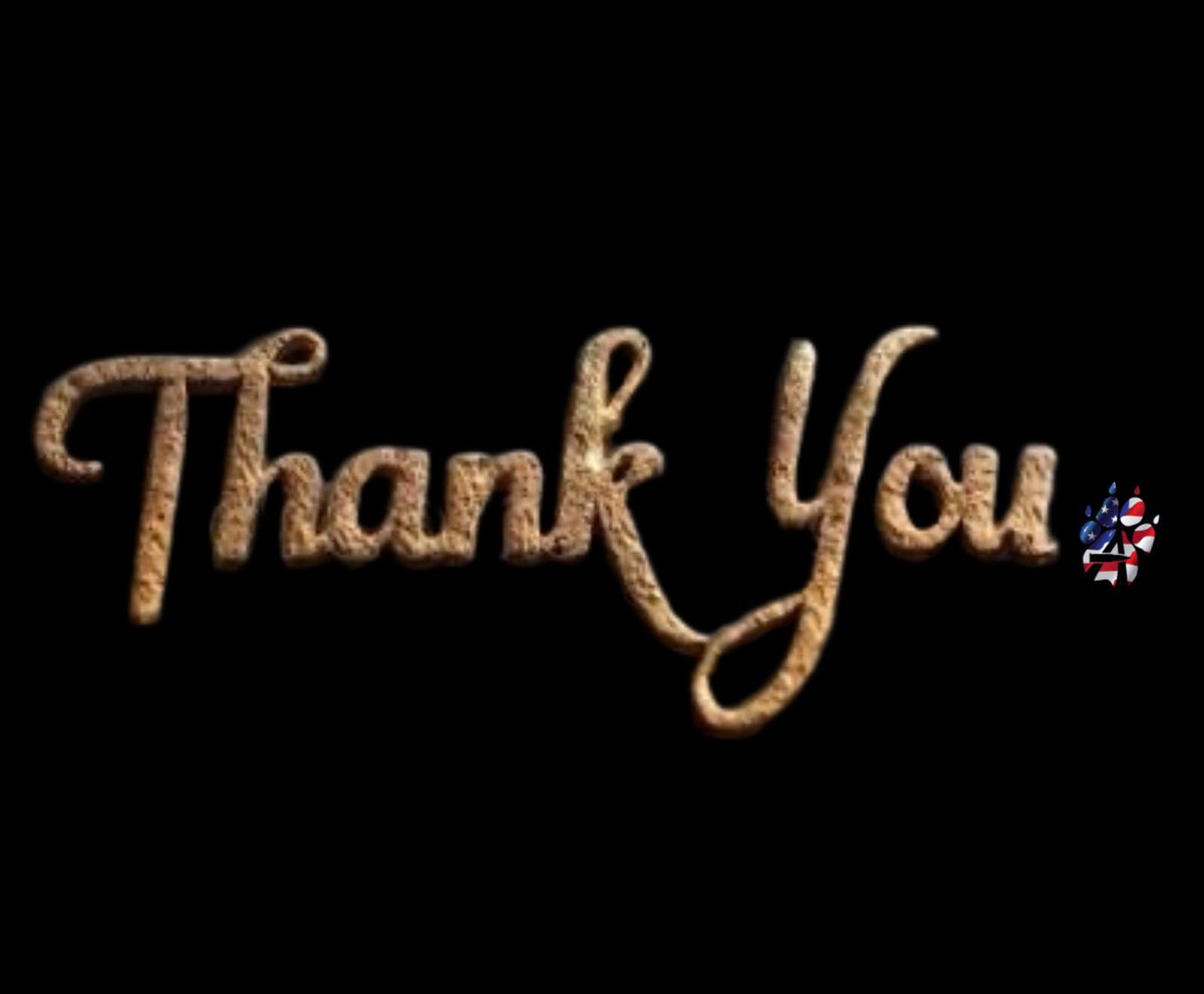 Alpha Dog Firearms tweet media