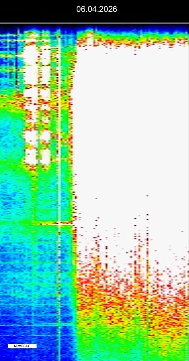 Paul White Gold Eagle tweet media