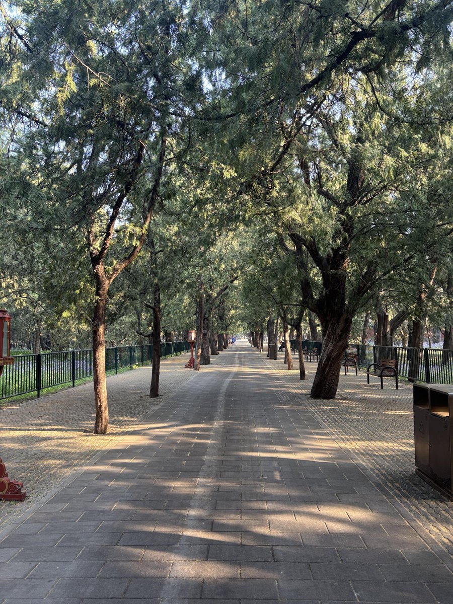 きょうこ tweet media