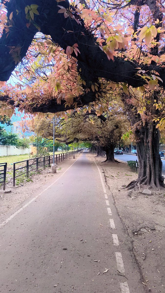 Sagar CHAUHAN tweet media