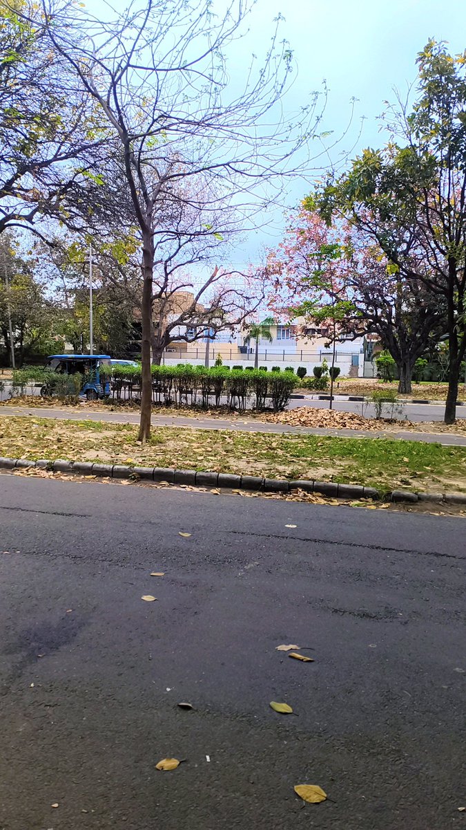 Sagar CHAUHAN tweet media