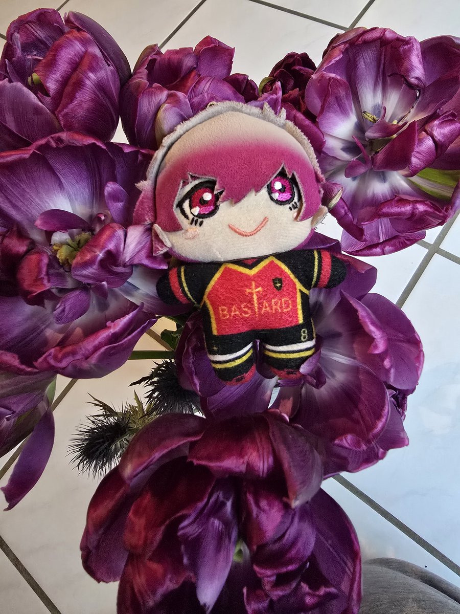 hootingcat1's tweet photo. My nuis are tulip friends 🧡💜 https://t.co/AKGInuOT20