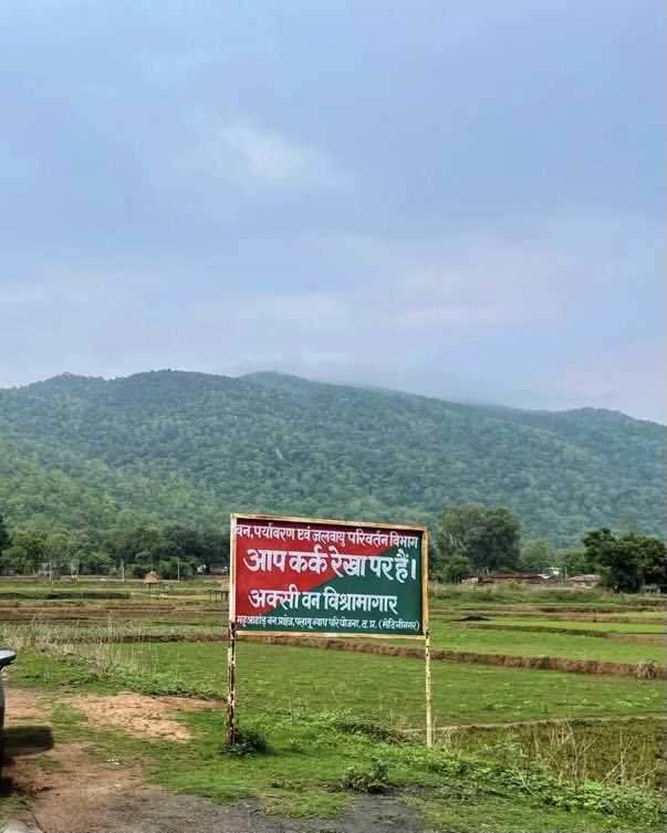 wordi25's tweet image. Btw photos of Jharkhand tourism. :)