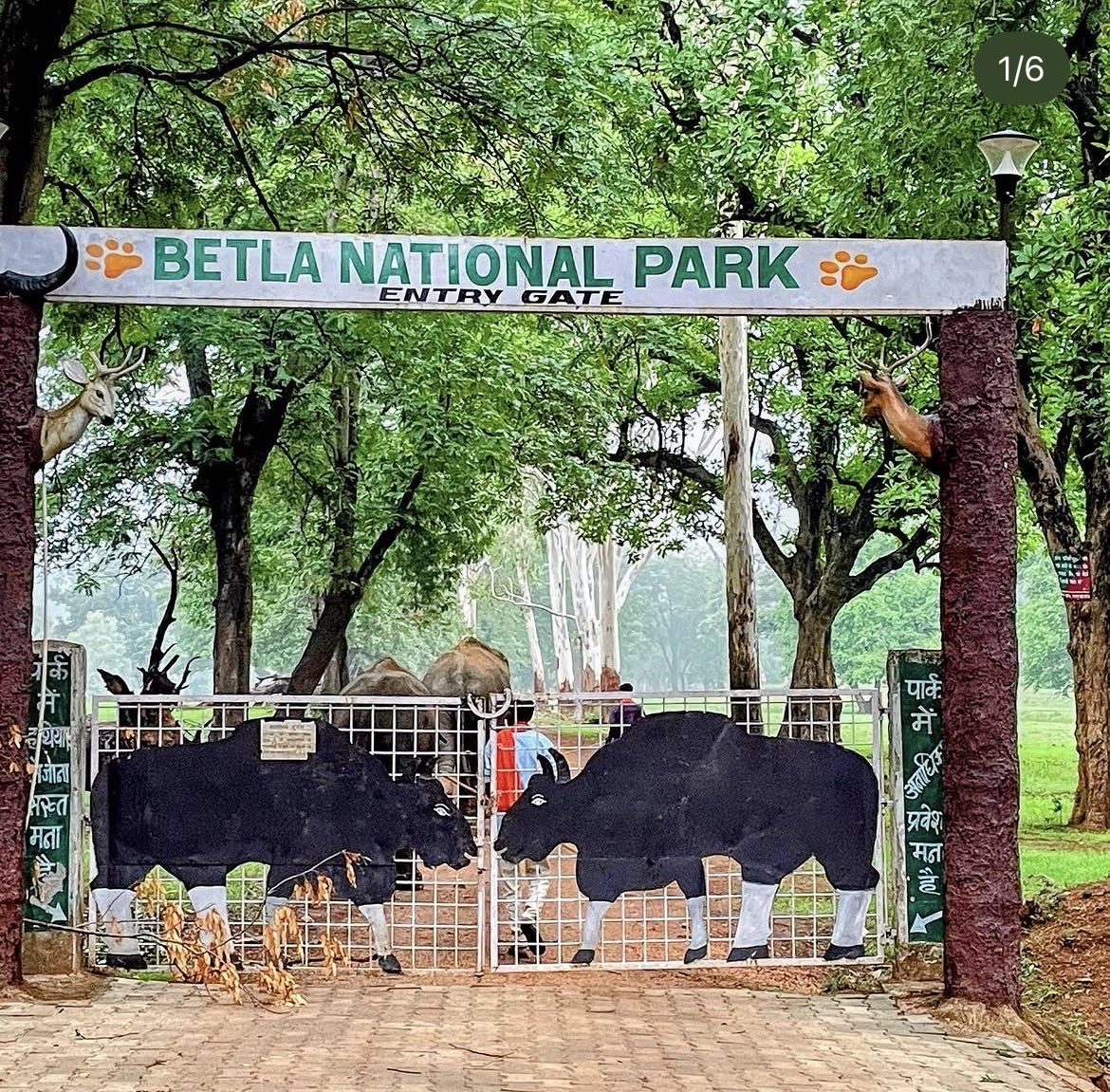 wordi25's tweet image. Btw photos of Jharkhand tourism. :)