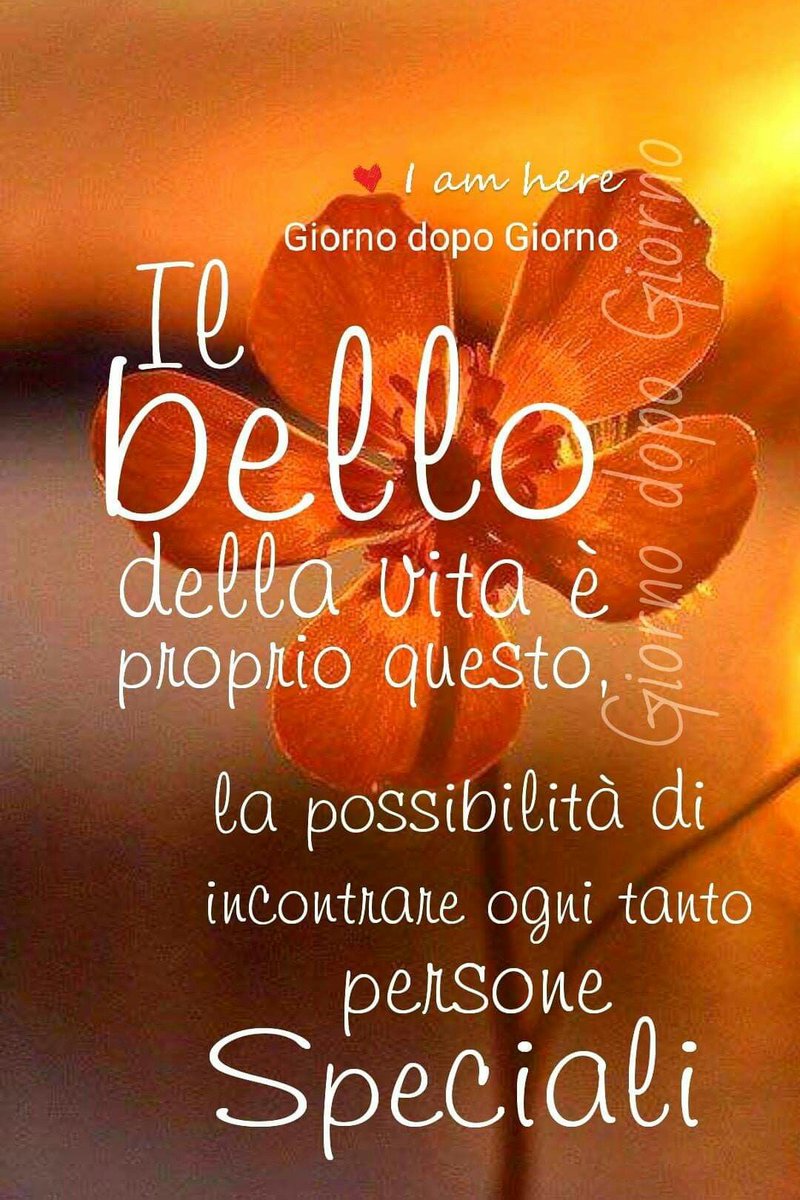 Giuseppe  Rubino tweet media