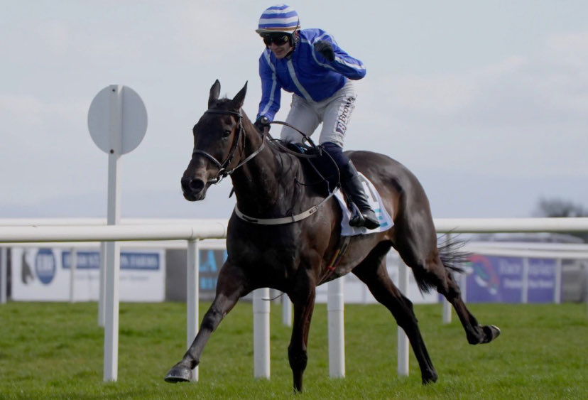 PhilHallinan7's tweet photo. Cracking performance today by energumene. 

Still doing it at 12 years old.

⚪️🔵🐎 https://t.co/9c8GW5l1VP