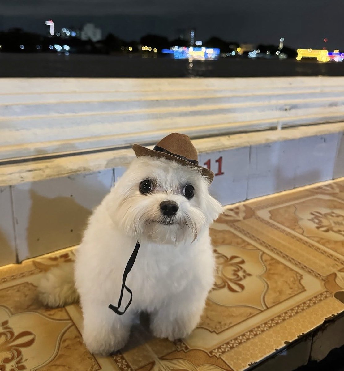 feet fondeler tweet media