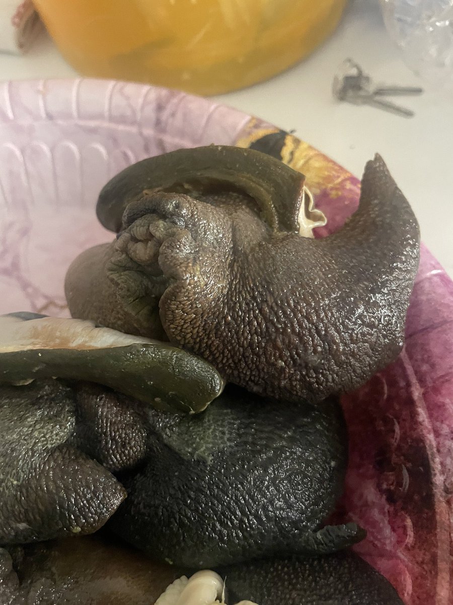 Peace Ighodaro💛 tweet media