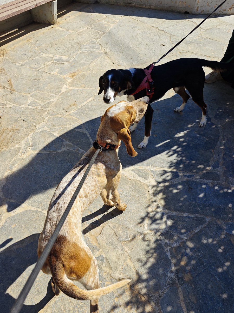 elina mpounia tweet media