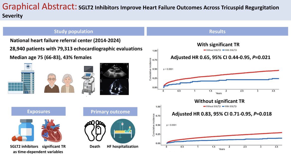 ZainKhalpey's tweet image. SGLT2 inhibitors linked to lower death and HF hospitalization, with consistent benefit in patients with tricuspid regurgitation and less progression over time. 

ow.ly/h6Q650YCR8J 

#MedTwitter #Cardiology #HeartFailure #SGLT2