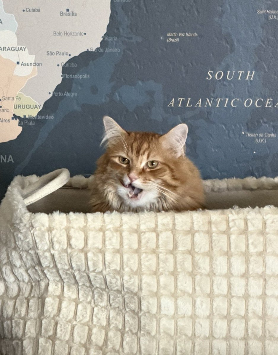 Andrew McCarthy tweet media