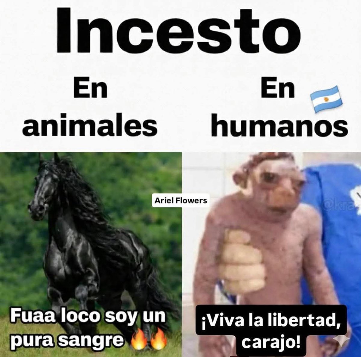 El crítico crítico ☭ tweet media