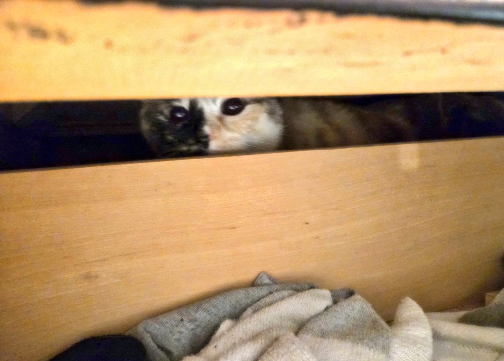 Cletus Crow tweet media